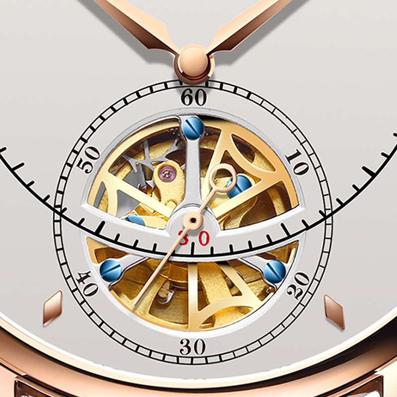 Reloj mecánico automático suiz - Skeleton Automatic Watch Luxury Tourbillon reseña y precio